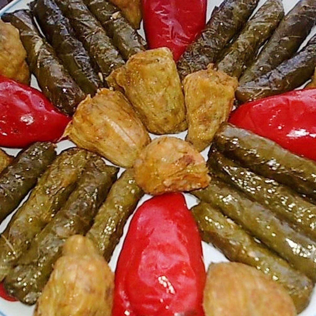 Karışık Dolma