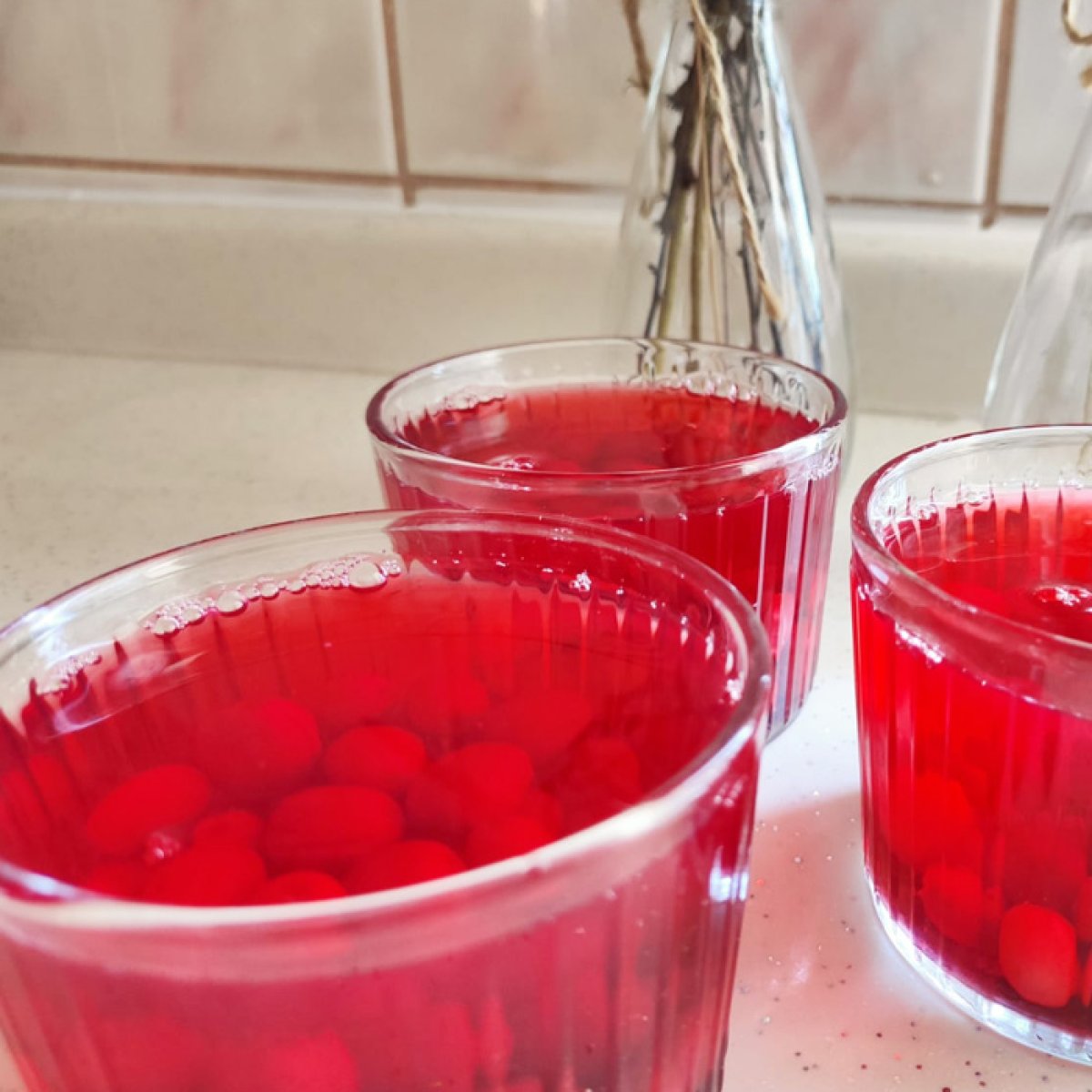 Kızılcık Kompostosu